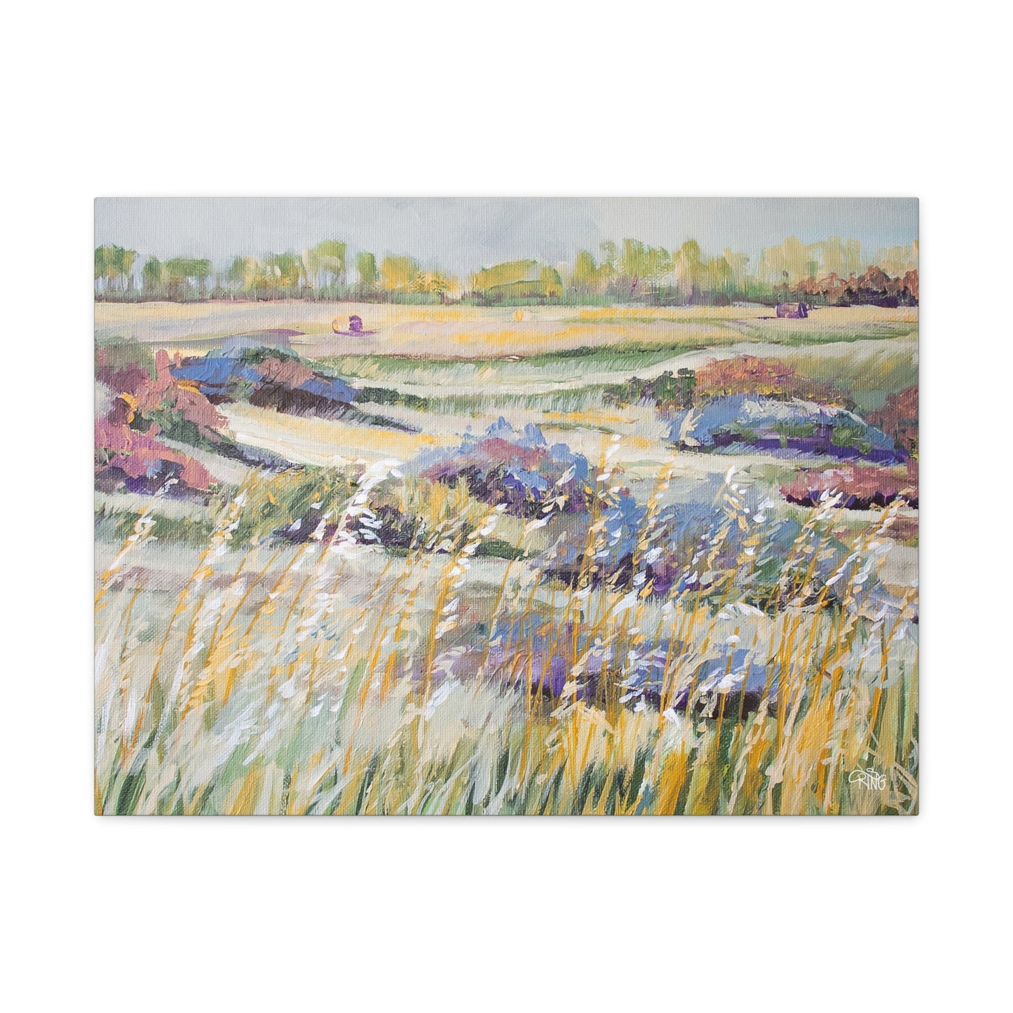 Swaying in the Sunshine - Canvas Print