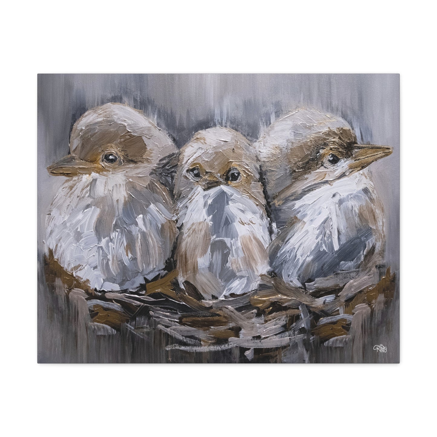 Barn Bird Trio - Canvas Print