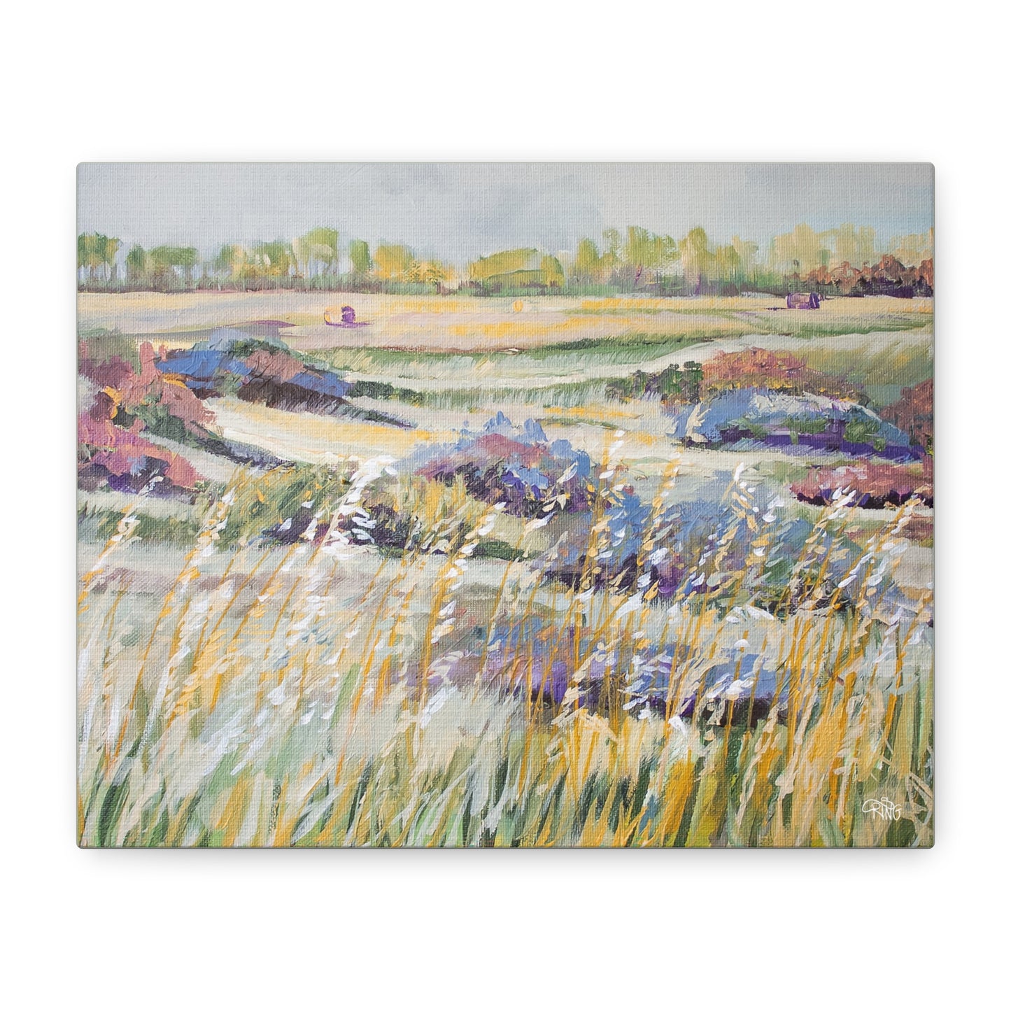 Swaying in the Sunshine - Canvas Print