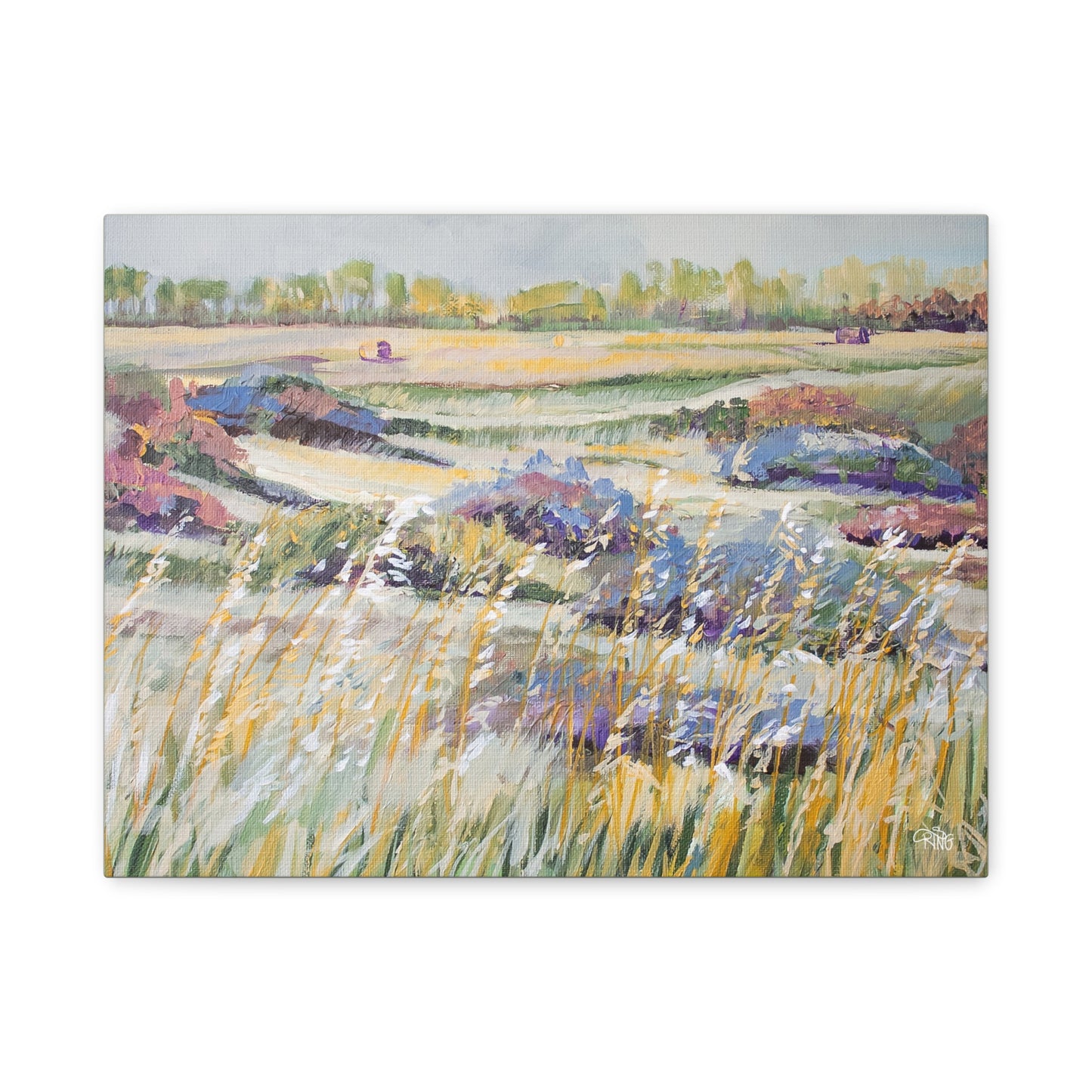 Swaying in the Sunshine - Canvas Print