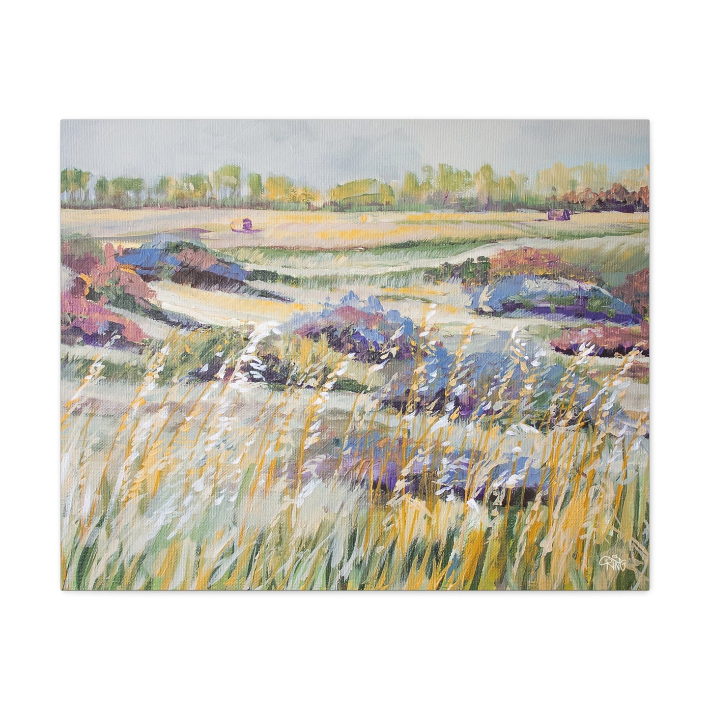 Swaying in the Sunshine - Canvas Print