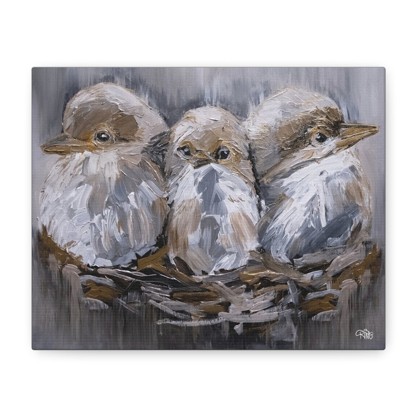 Barn Bird Trio - Canvas Print