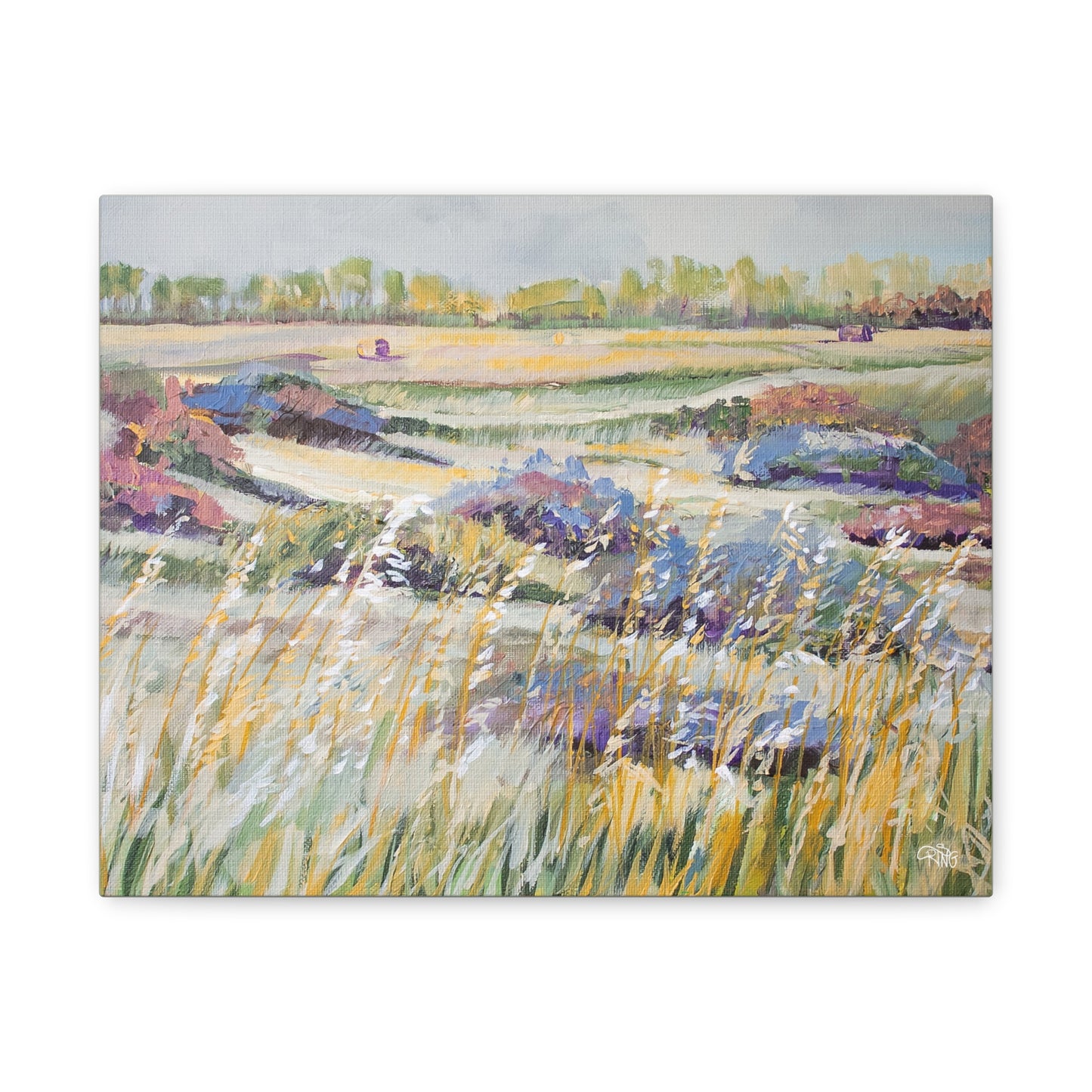 Swaying in the Sunshine - Canvas Print