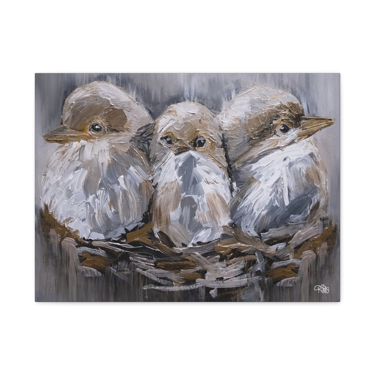 Barn Bird Trio - Canvas Print