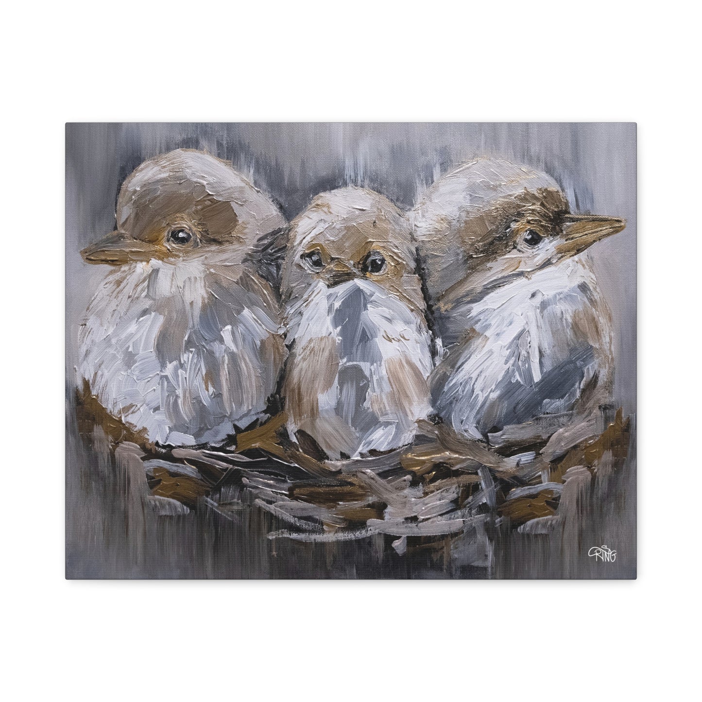Barn Bird Trio - Canvas Print