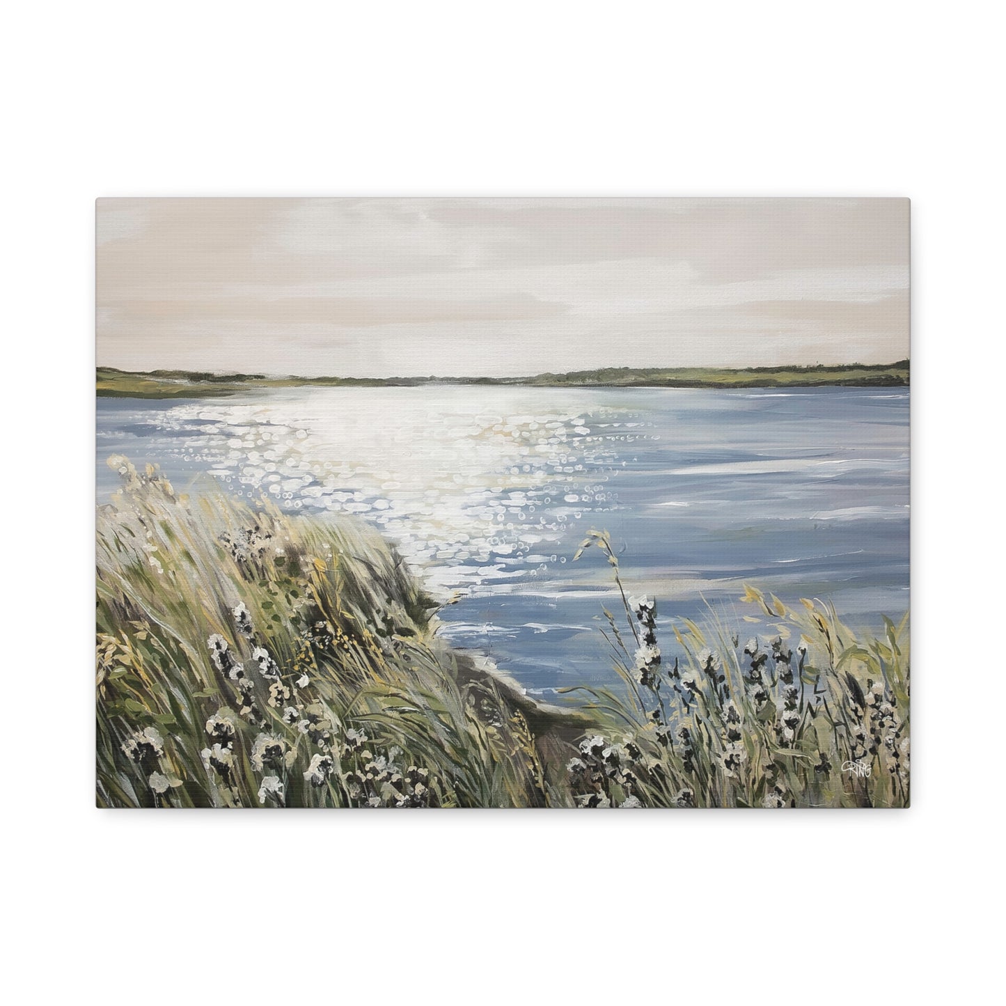 Sparkling Waters in a Nature Refuge - Canvas Print
