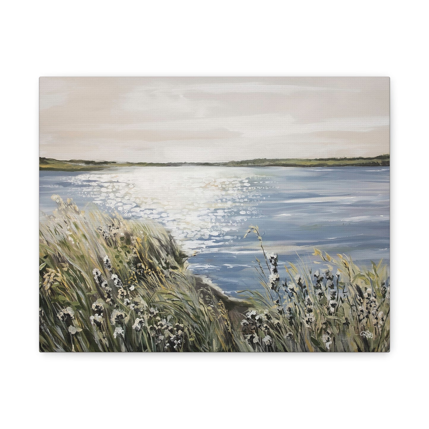 Sparkling Waters in a Nature Refuge - Canvas Print