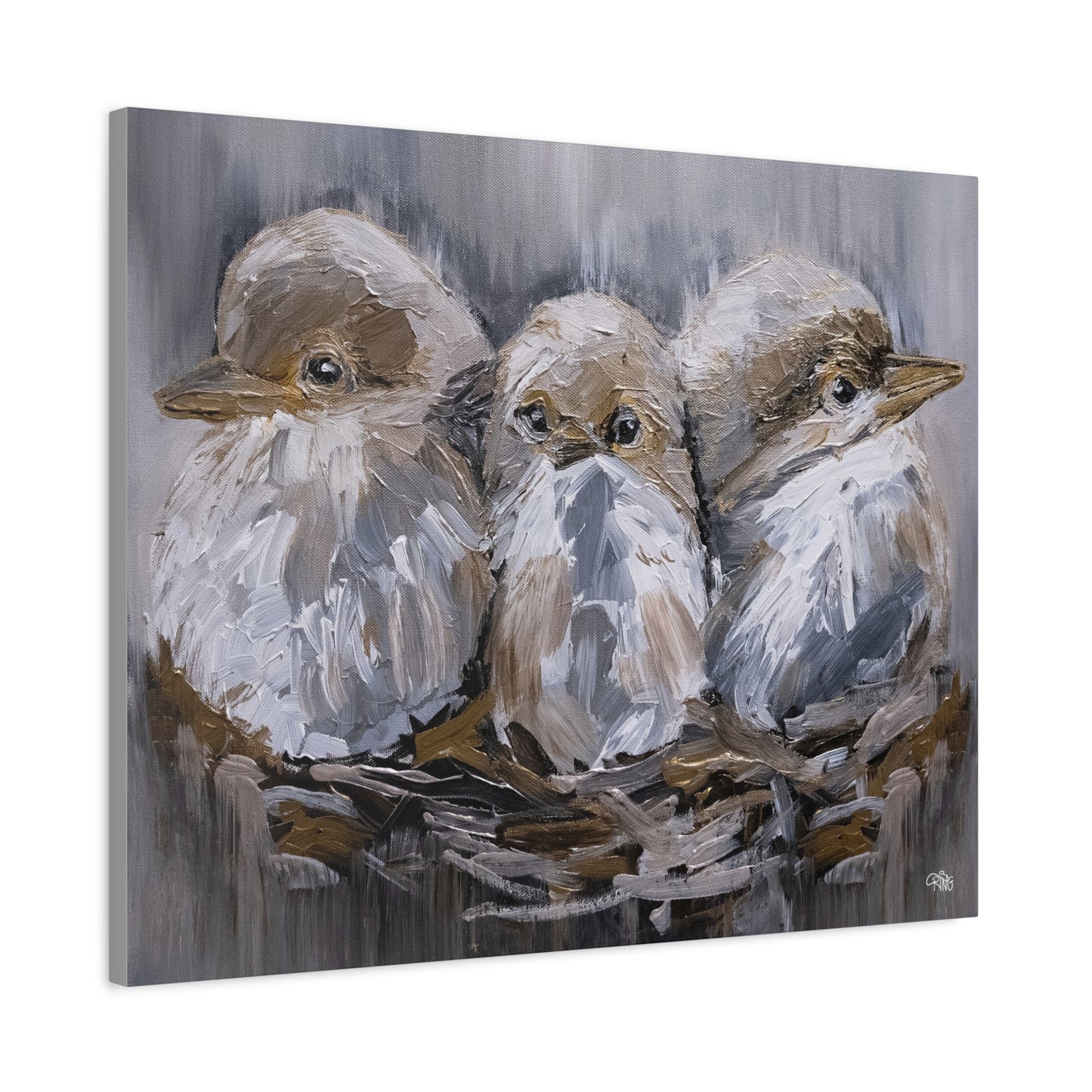 Barn Bird Trio - Canvas Print