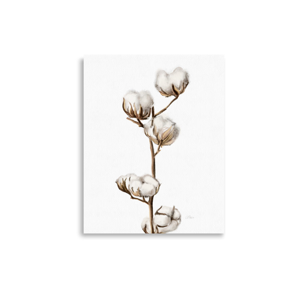 Cotton Buds