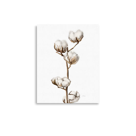 Cotton Buds