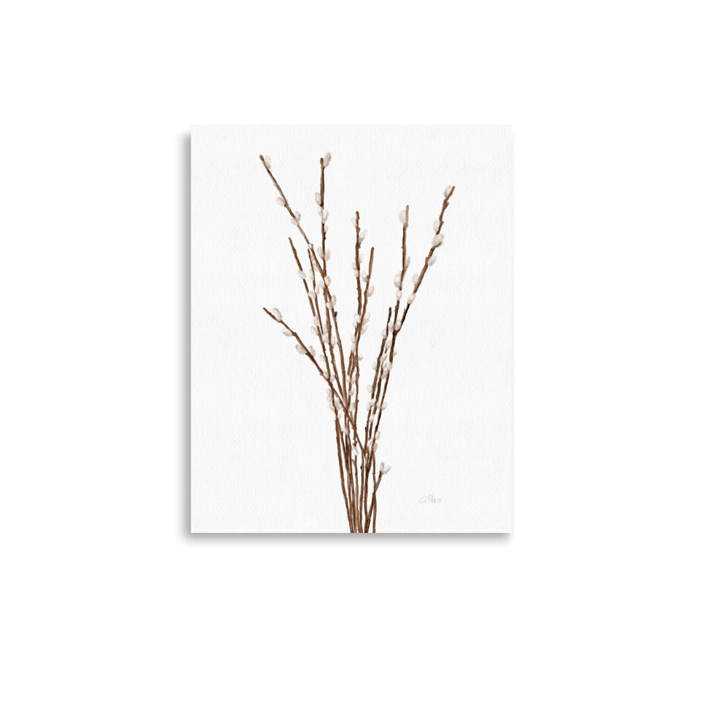 Willow Branches