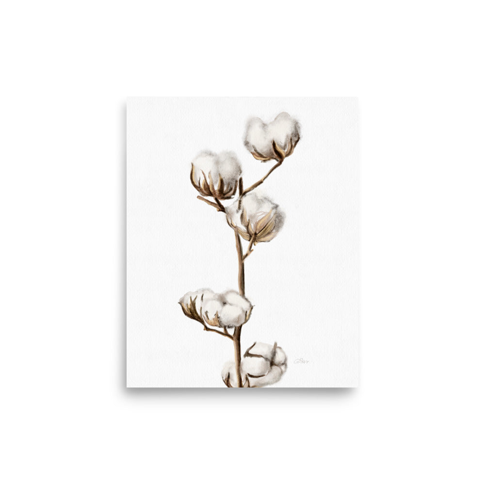Cotton Buds