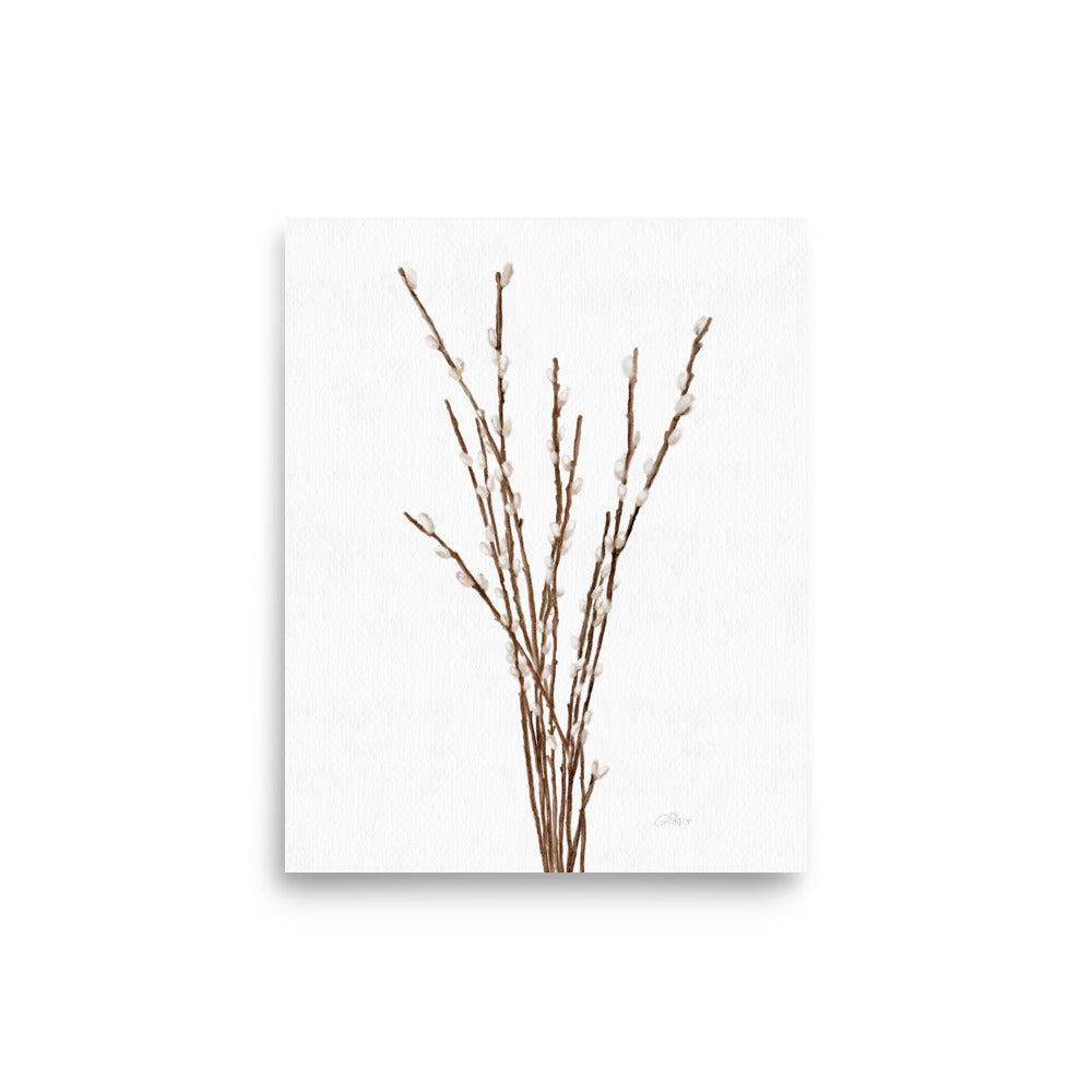 Willow Branches