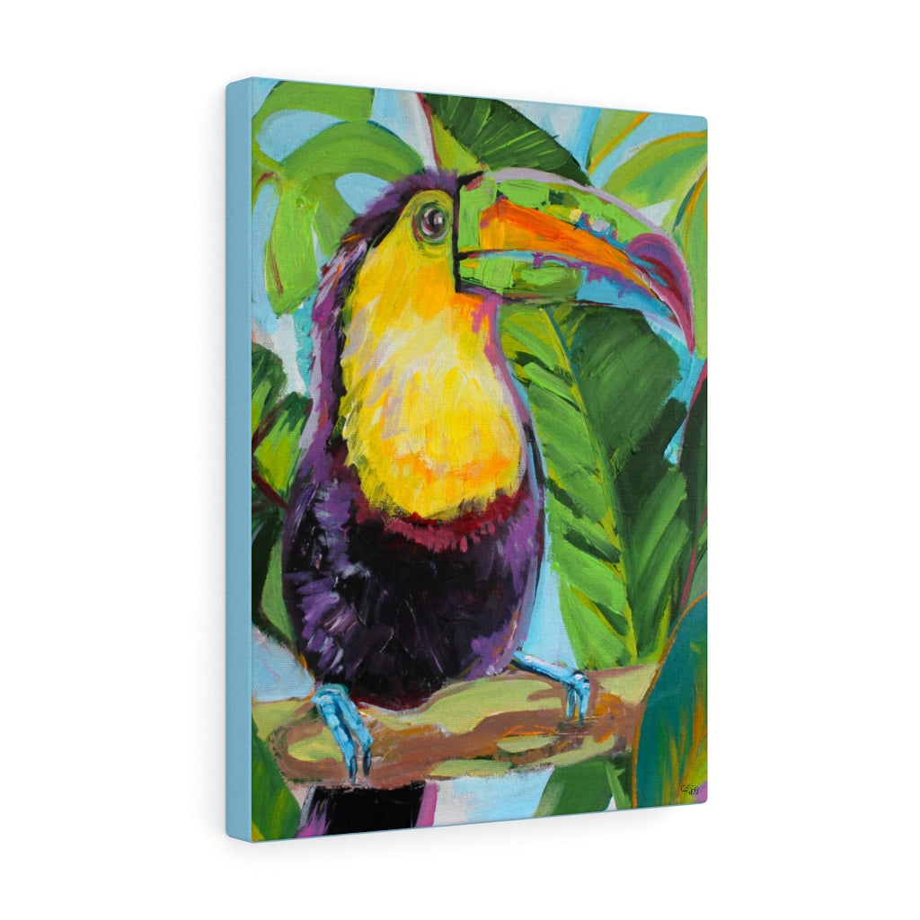 Toucan Sam - Canvas Print