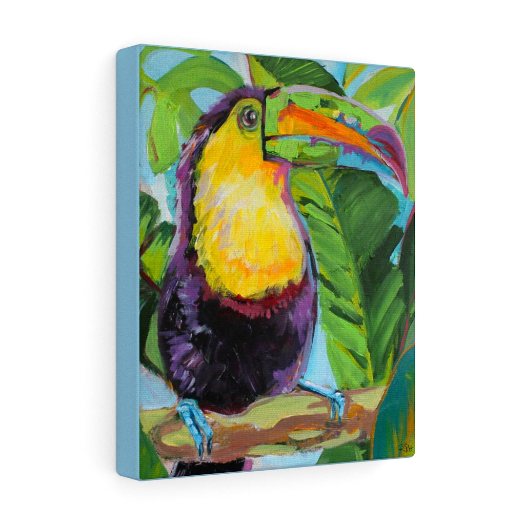 Toucan Sam - Canvas Print