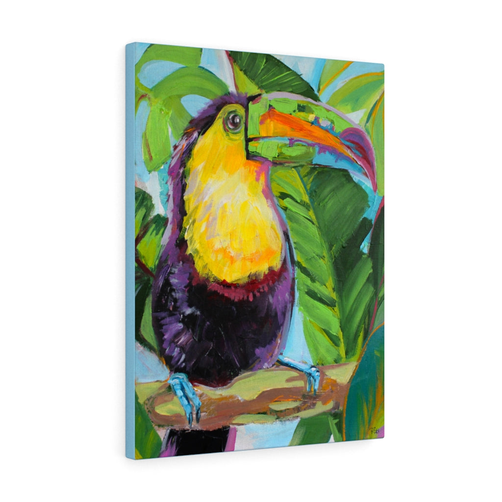 Toucan Sam - Canvas Print