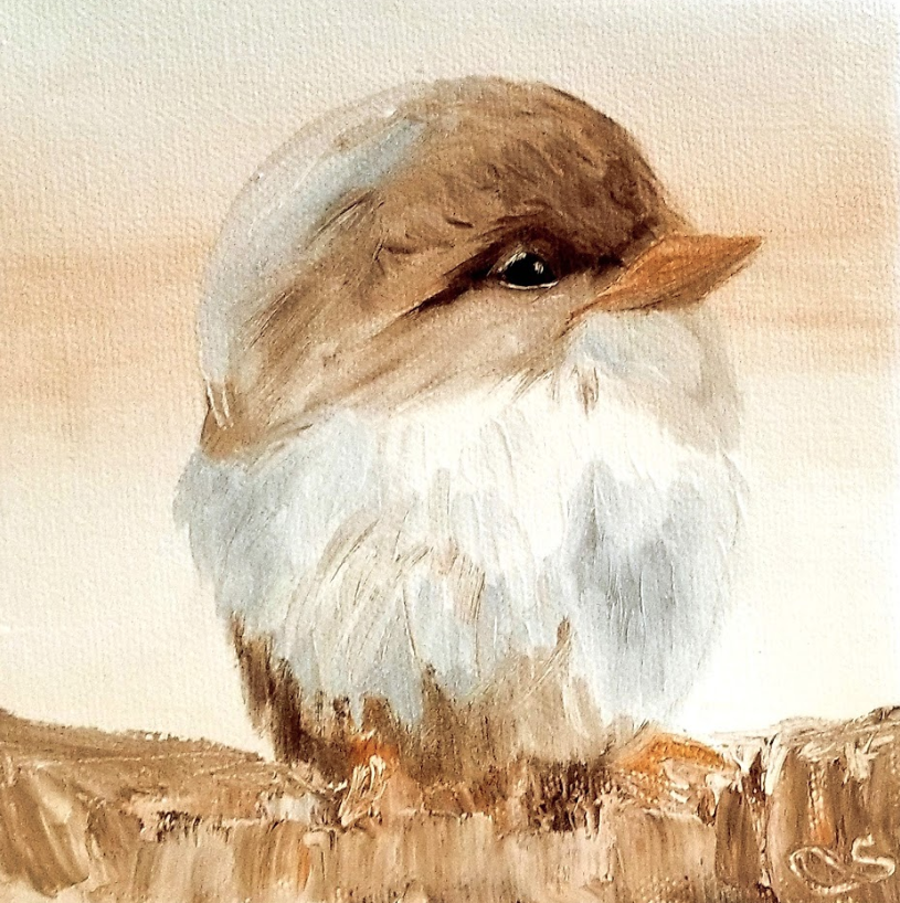 Barn Bird