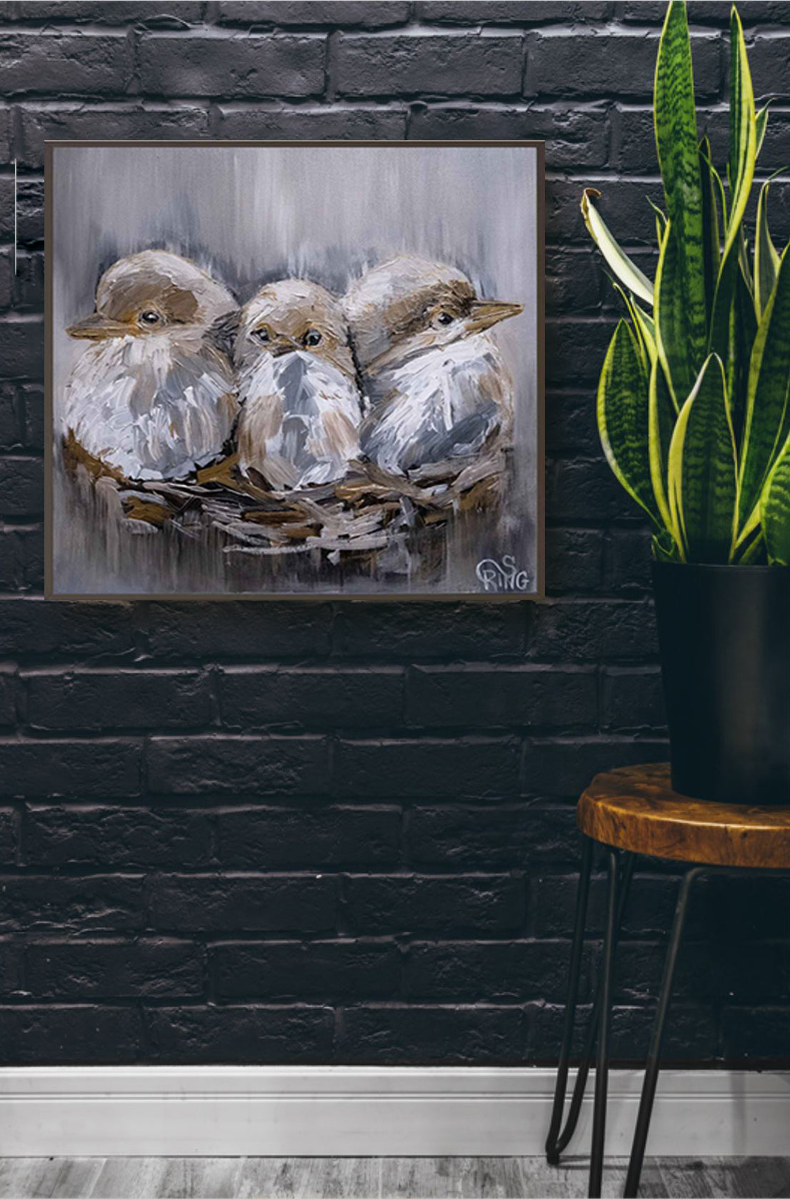 Barn Bird Trio