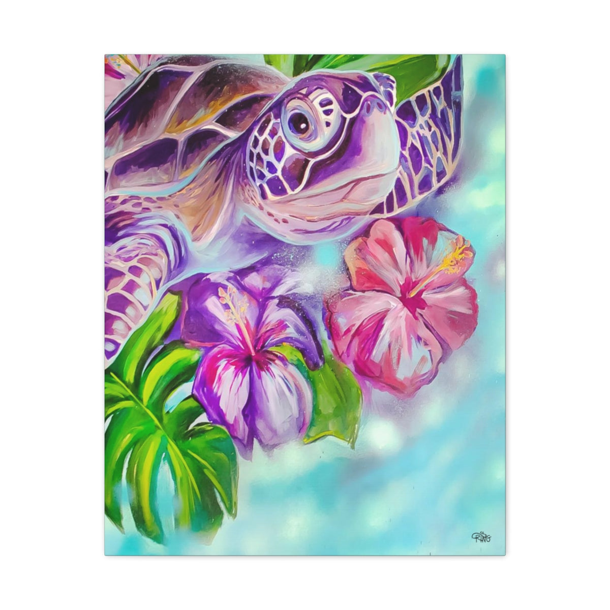 Splish - Canvas Print