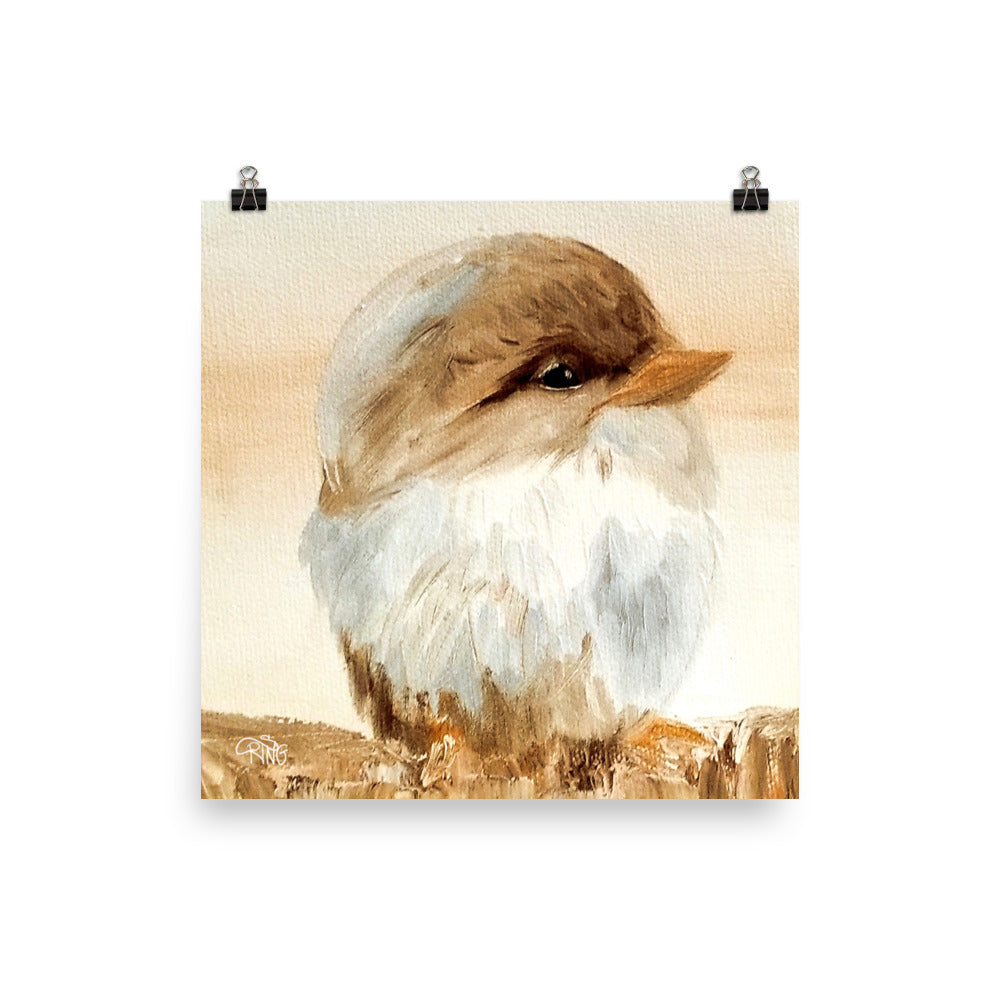 Barn Bird