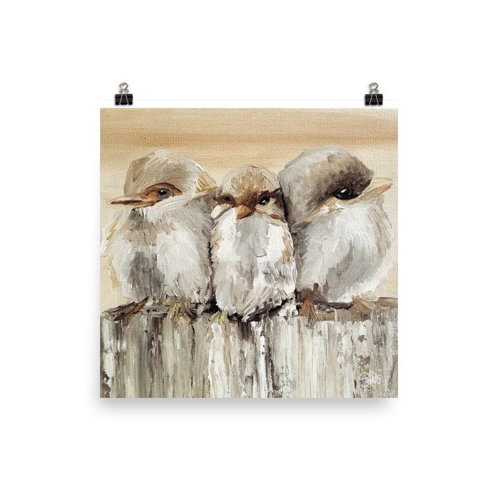 Barn Birds