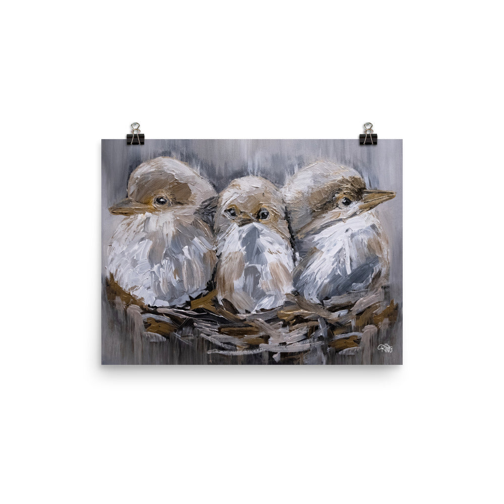 Barn Bird Trio