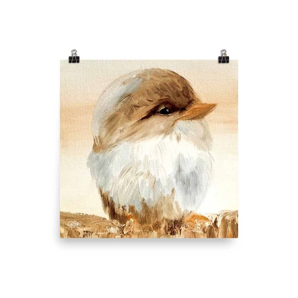 Barn Bird