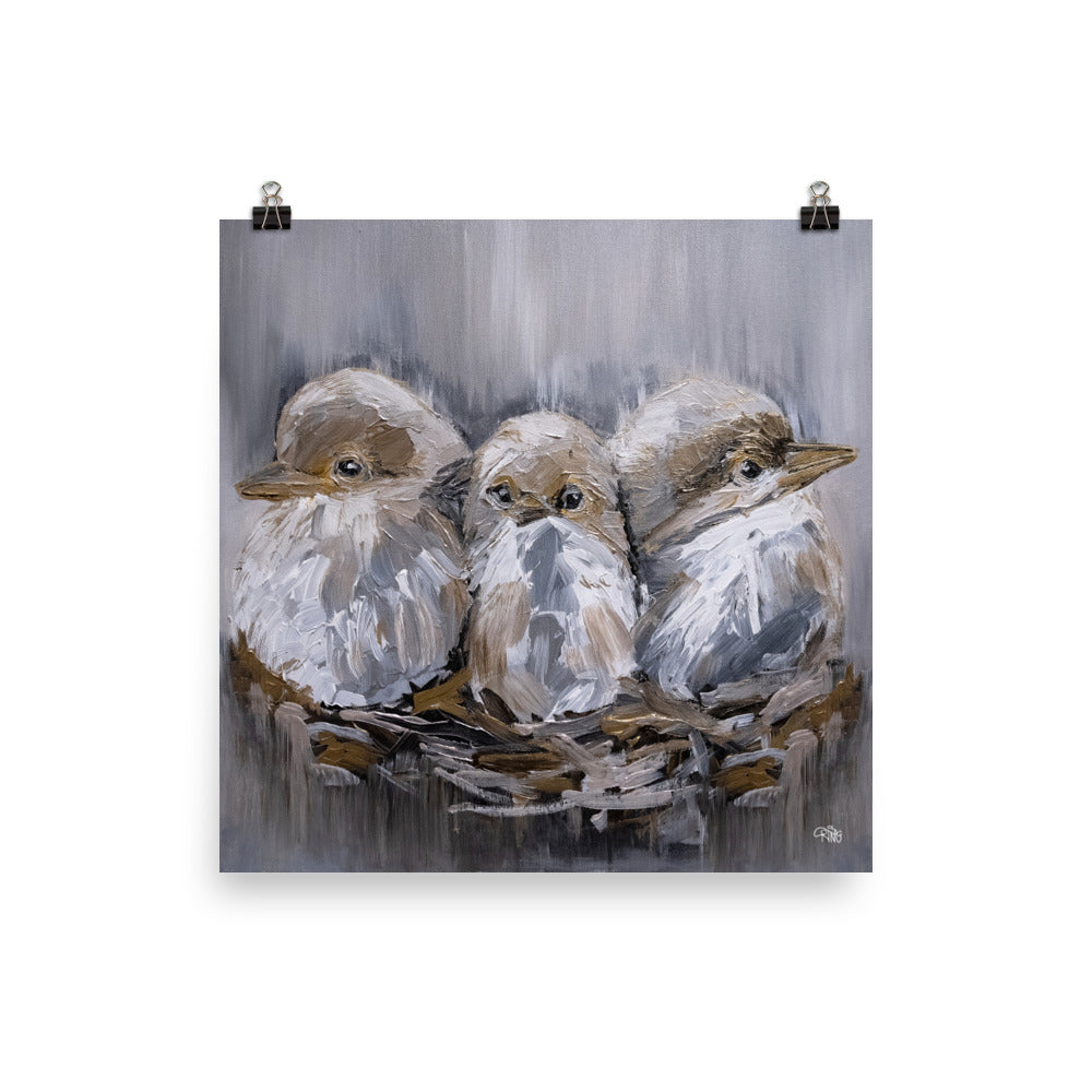 Barn Bird Trio