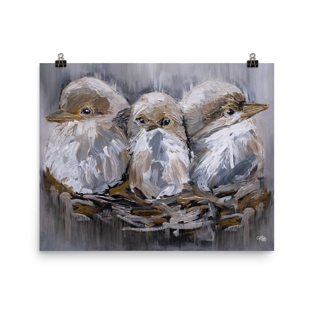 Barn Bird Trio
