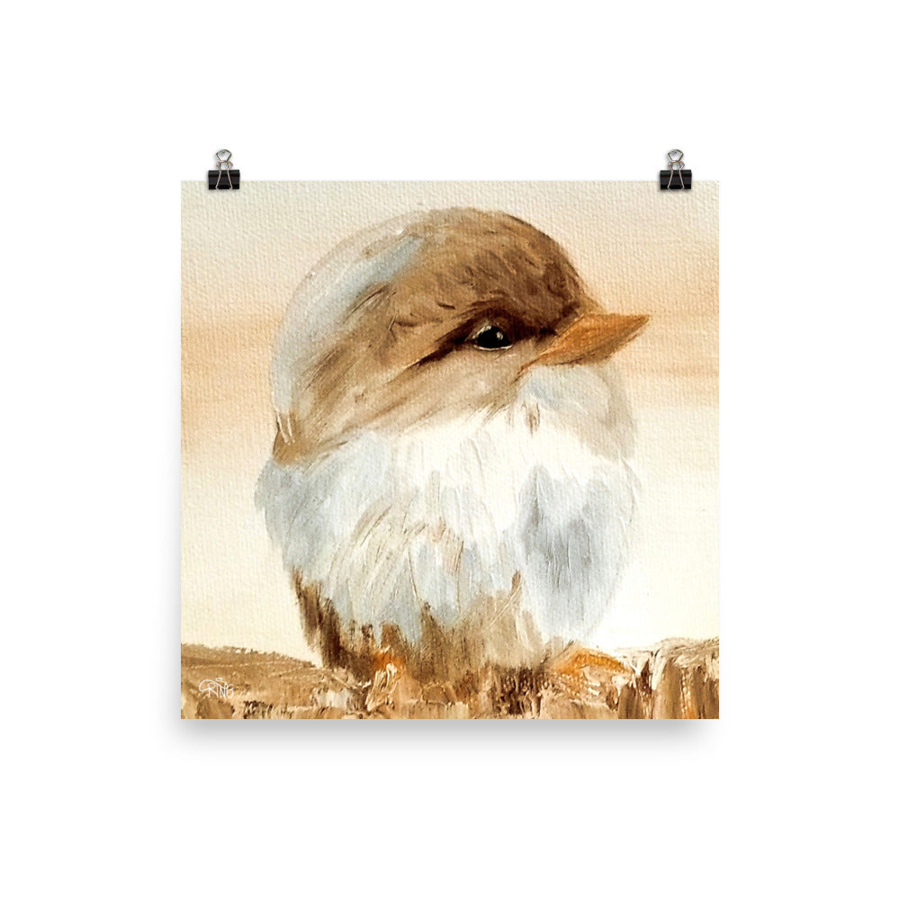 Barn Bird