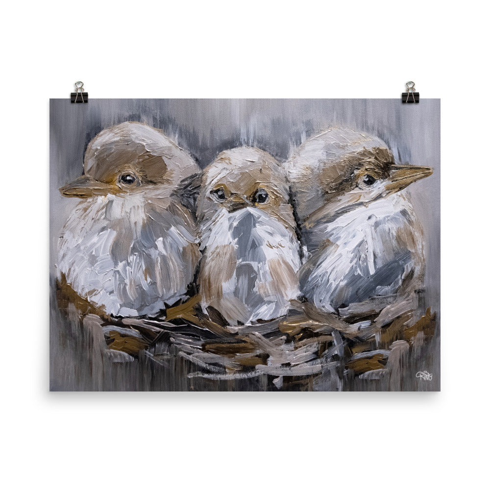 Barn Bird Trio