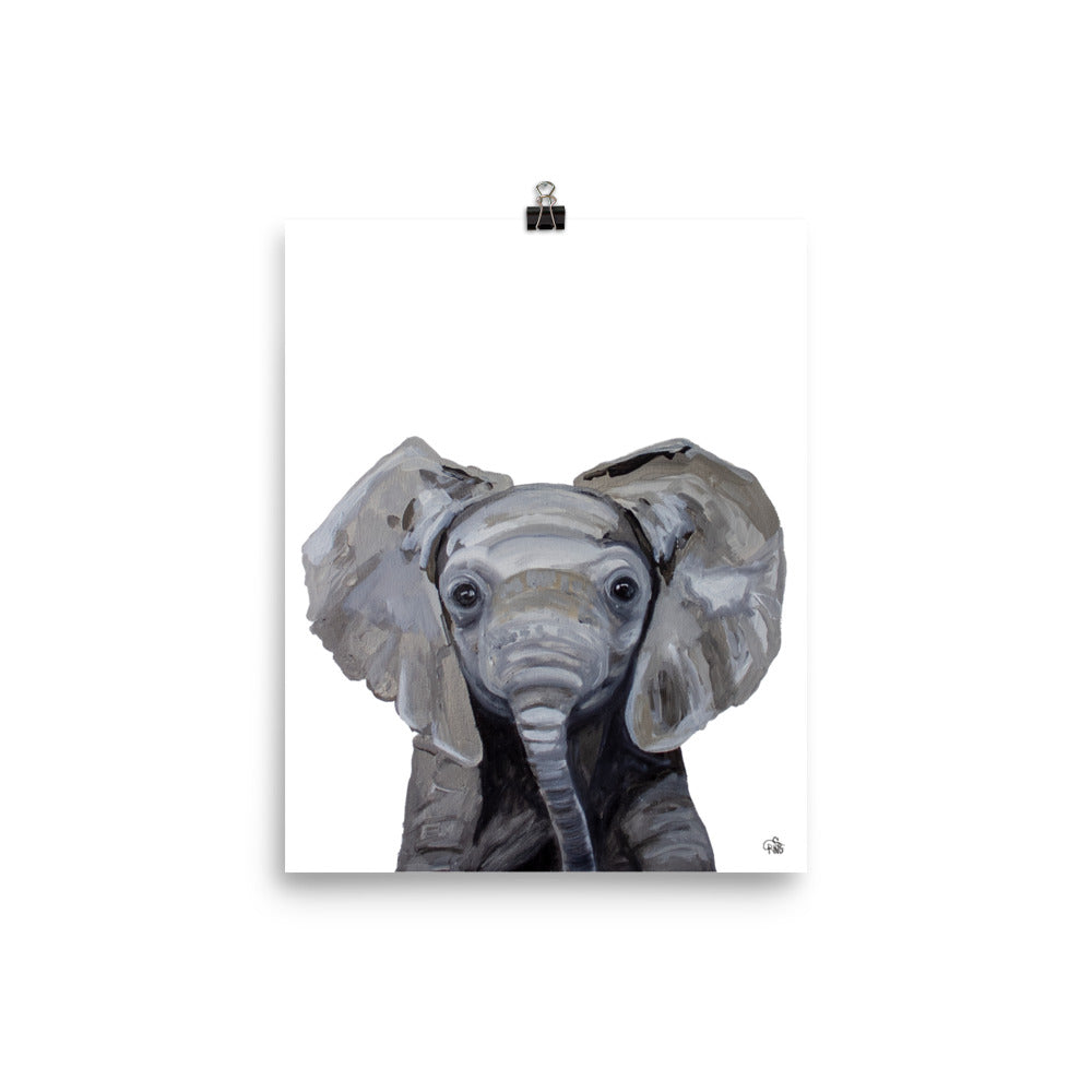Baby Elephant