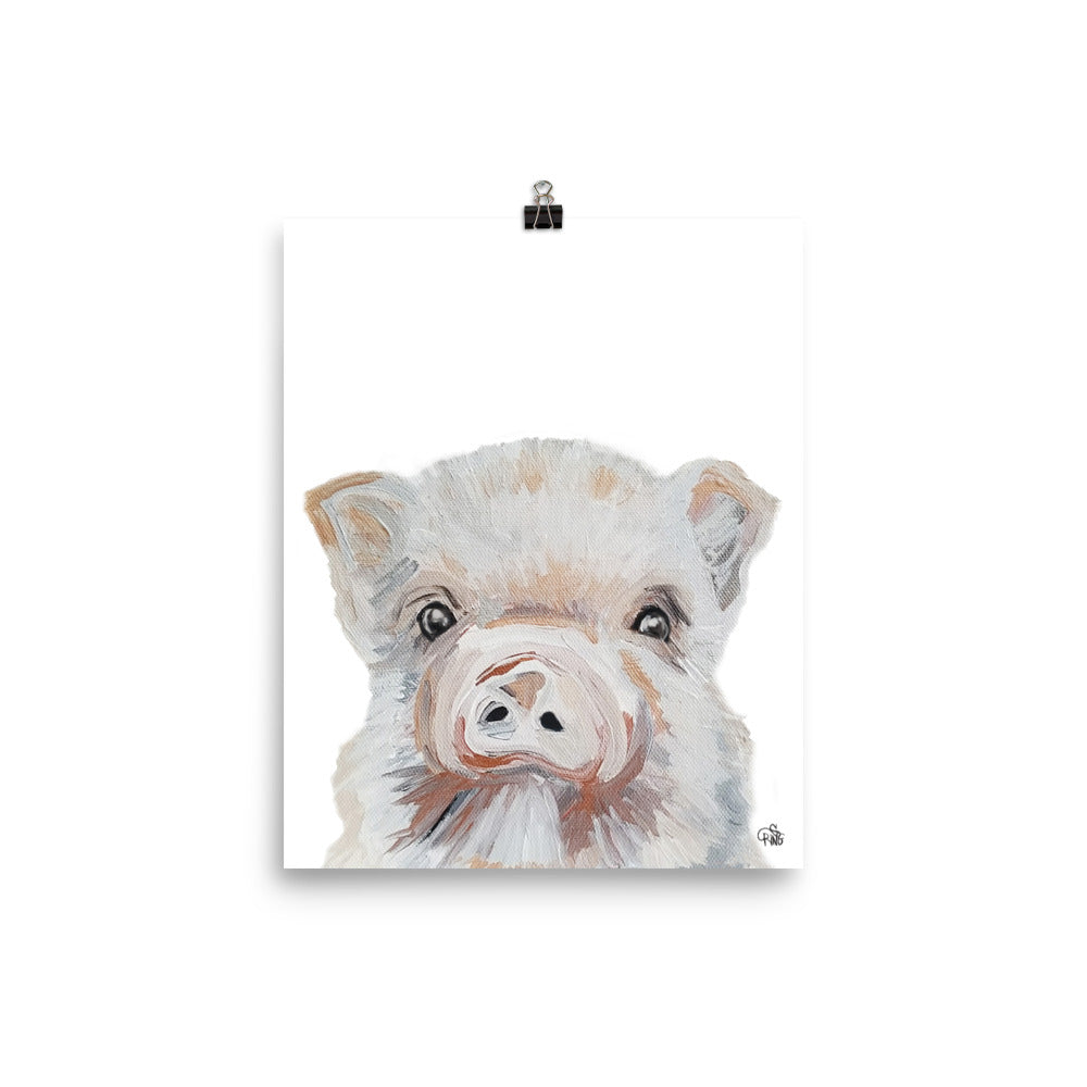 Baby Pig