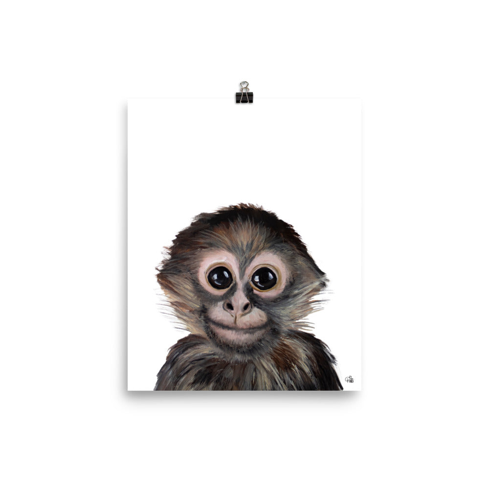 Baby Monkey