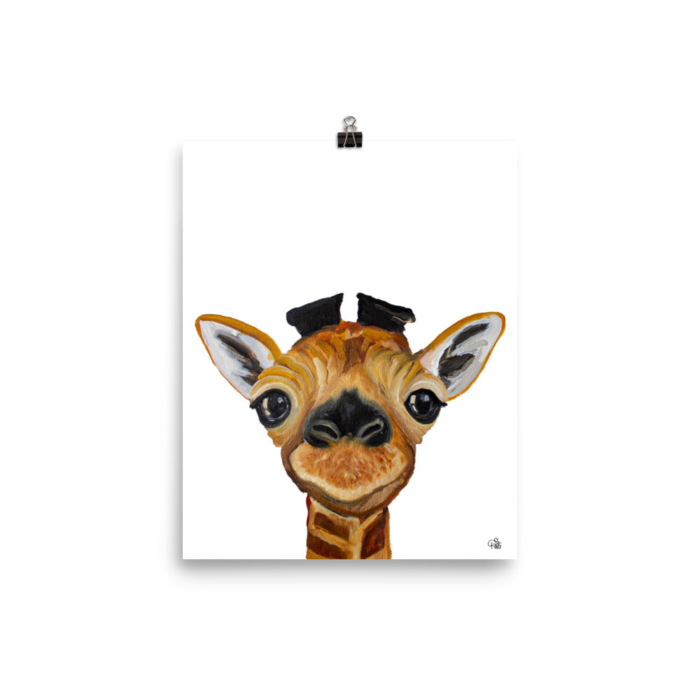 Baby Giraffe