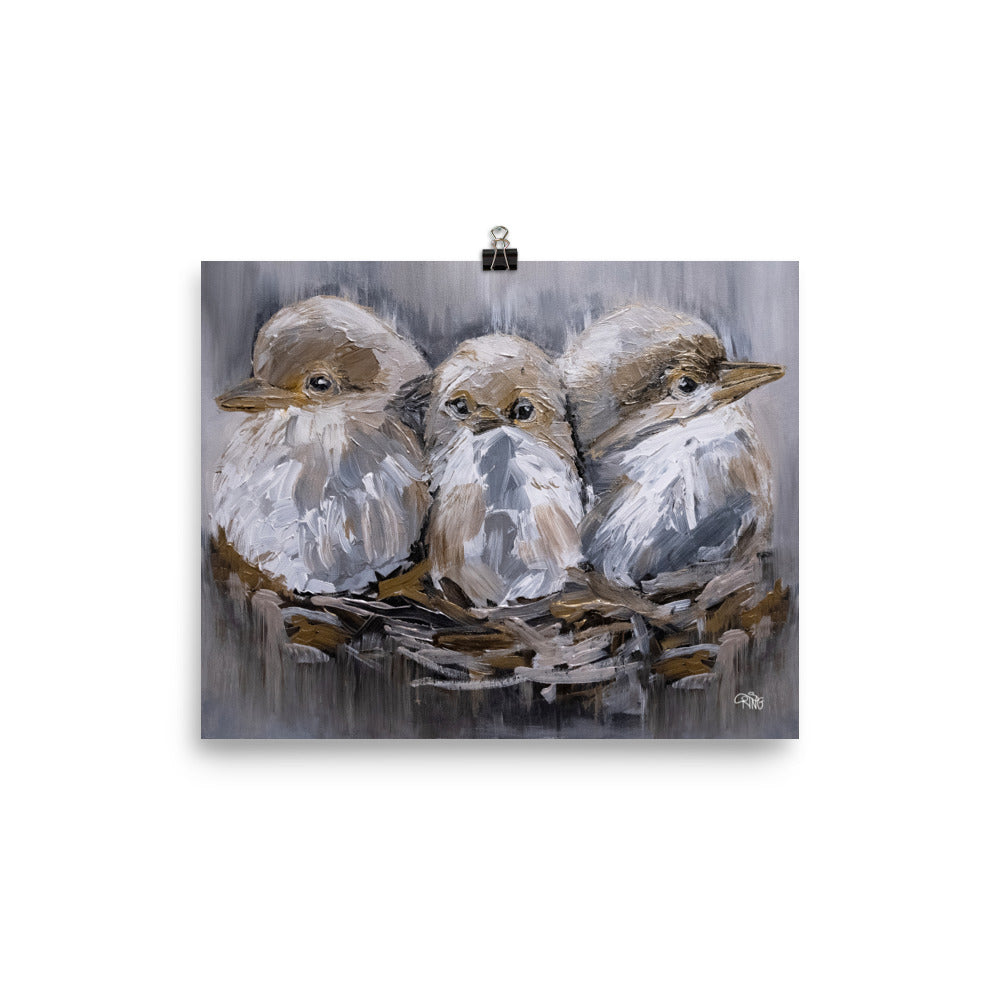 Barn Bird Trio