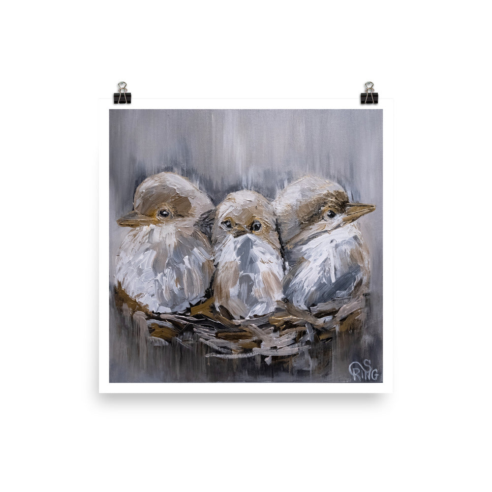 Barn Bird Trio