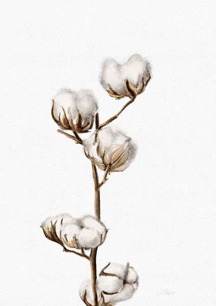 Cotton Buds- Digital Download