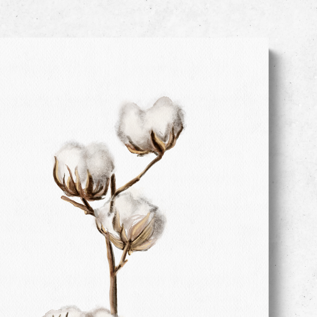 Cotton Buds