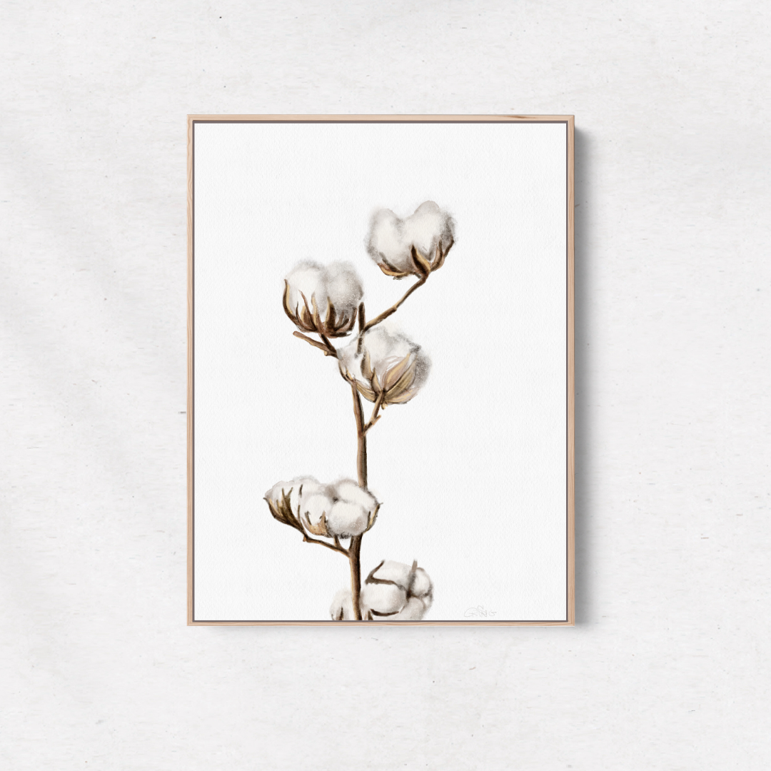 Cotton Buds