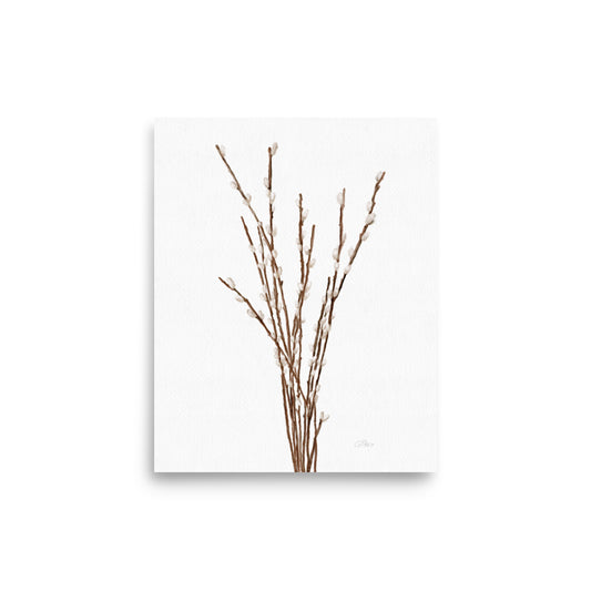 Willow Branches