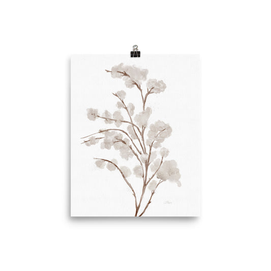 Wispy Branches