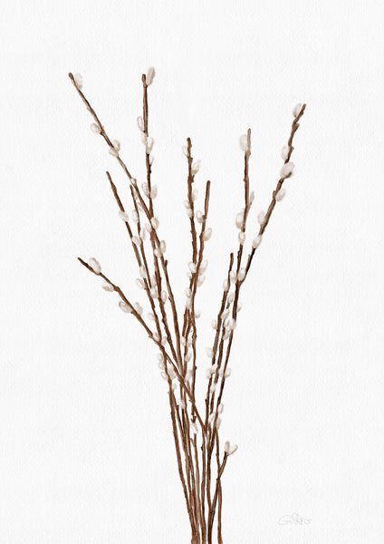 Willow Branches - Digital Download