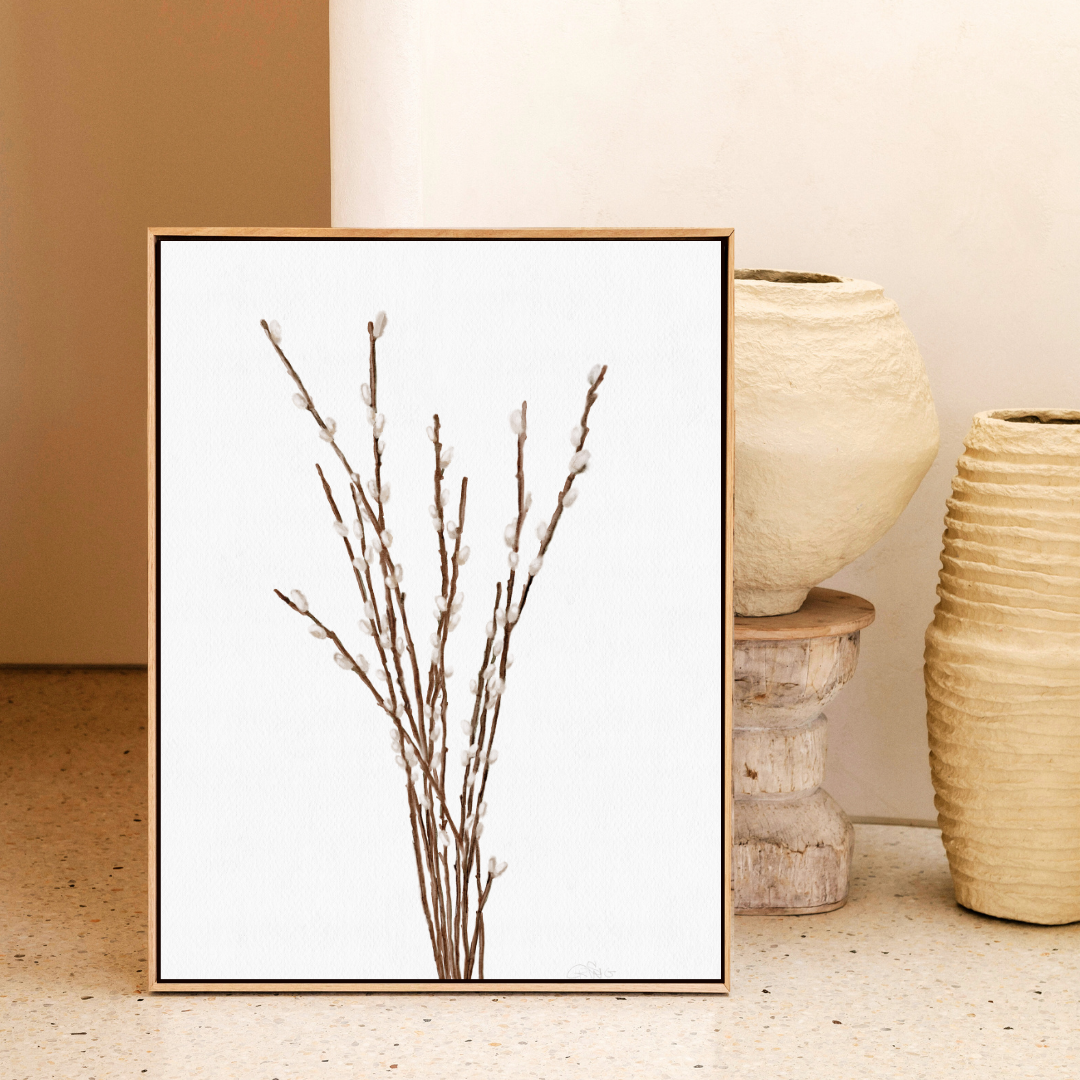Willow Branches