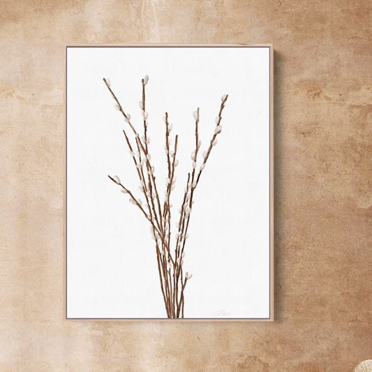 Willow Branches