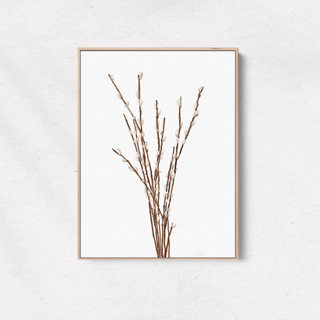 Willow Branches