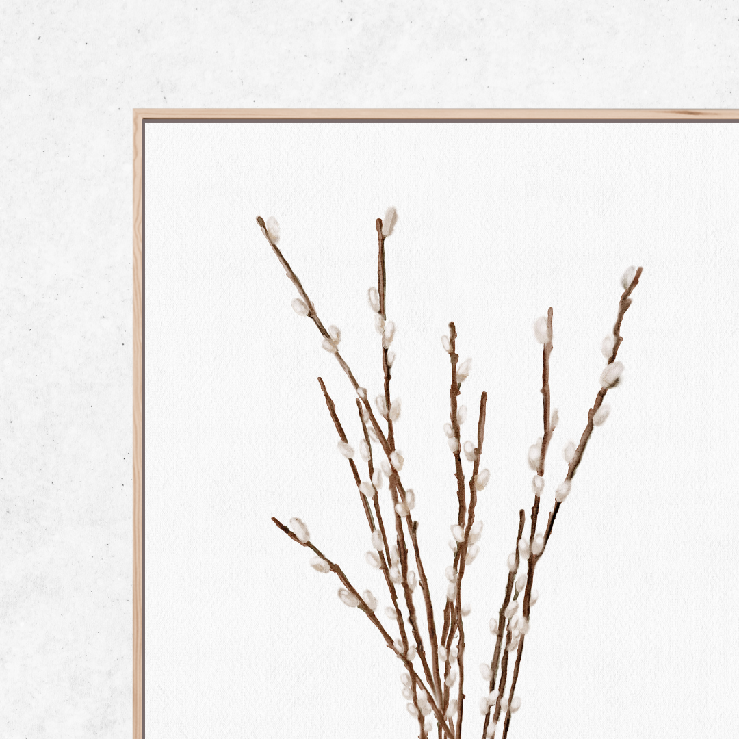 Willow Branches