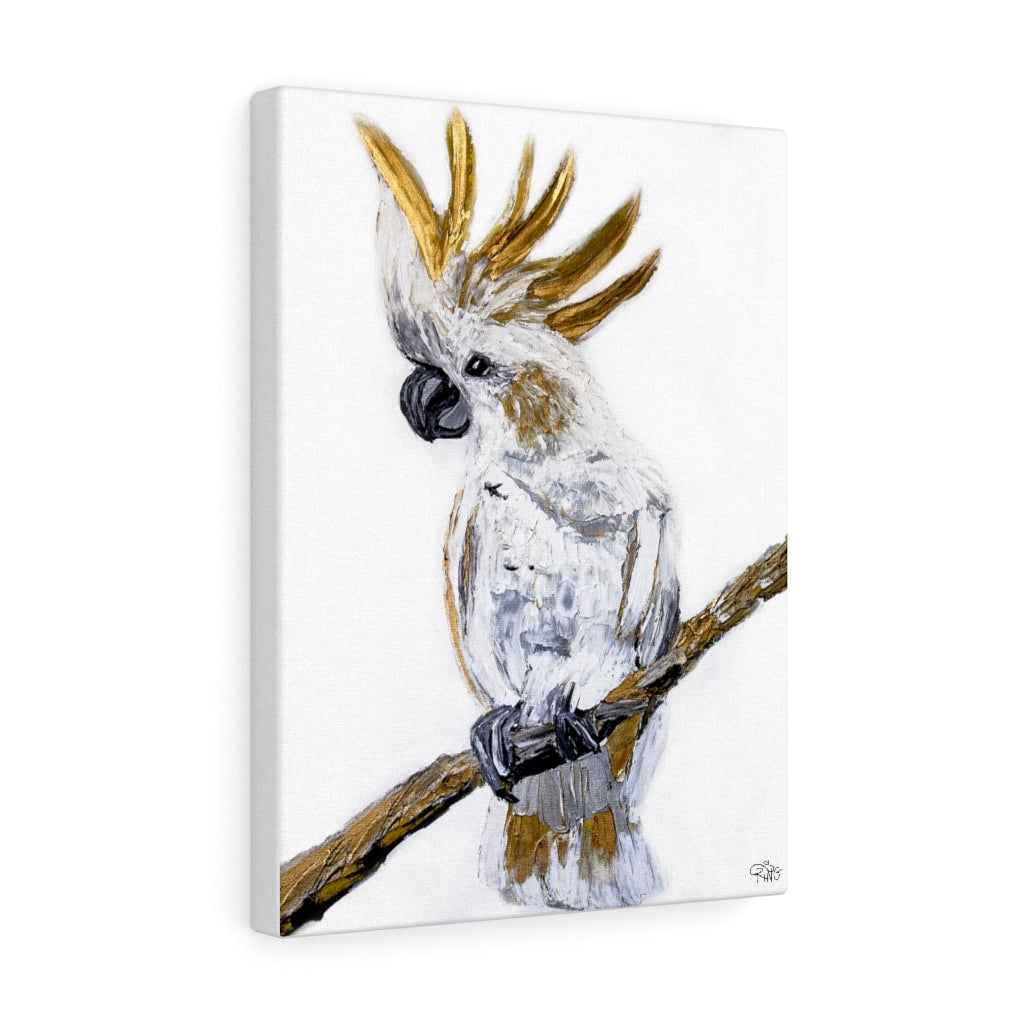 Cockatoo - Canvas Print