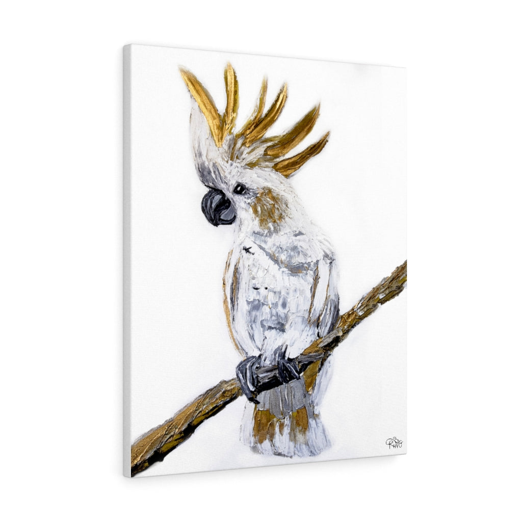 Cockatoo - Canvas Print