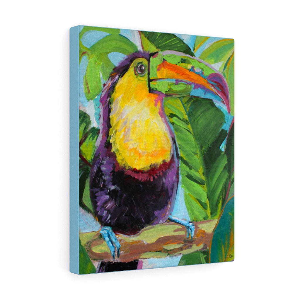 Toucan Sam - Canvas Print